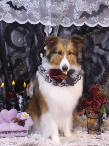 20231020ティーラちゃん